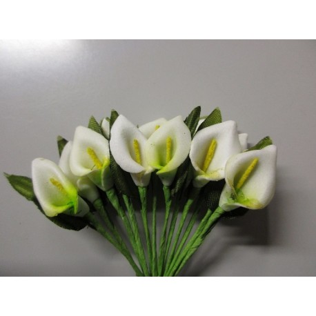 Calla piccola